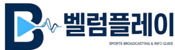 벨럼플레이 공식 로고 이미지